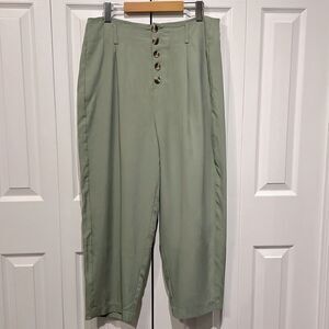Frank & Oak Sage Green Balloon Cut Button Fly Tencel‎ Pants Size 12 NWT